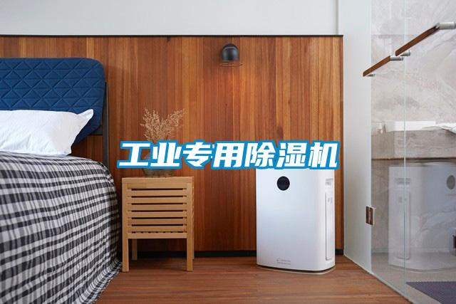 工業(yè)專用除濕機