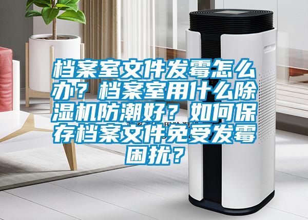 檔案室文件發霉怎么辦？檔案室用什么除濕機防潮好？如何保存檔案文件免受發霉困擾？