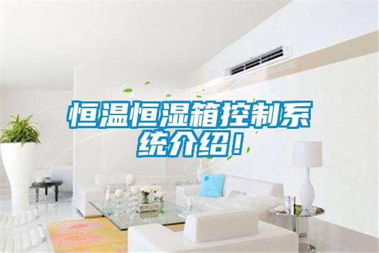 恒溫恒濕箱控制系統介紹！