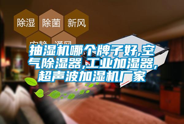 抽濕機哪個牌子好,空氣除濕器,工業(yè)加濕器,超聲波加濕機廠家