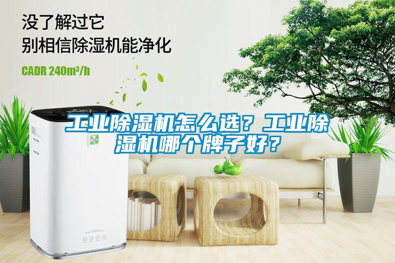 工業(yè)除濕機怎么選？工業(yè)除濕機哪個牌子好？
