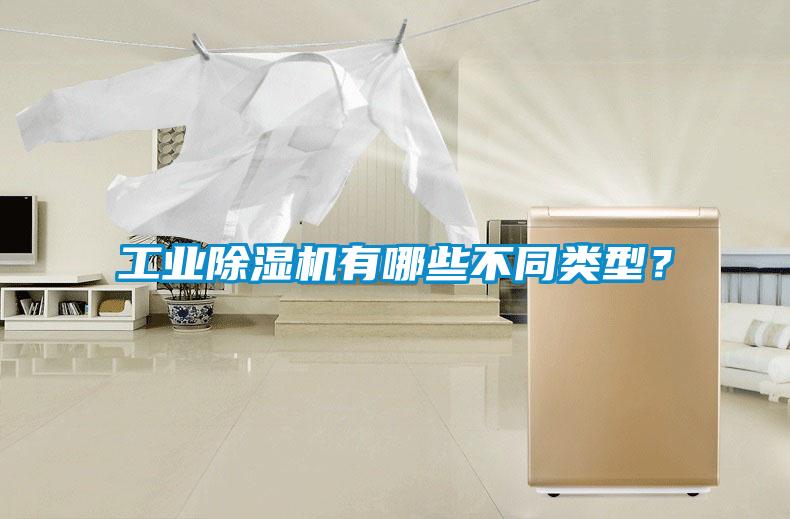 工業除濕機有哪些不同類型？