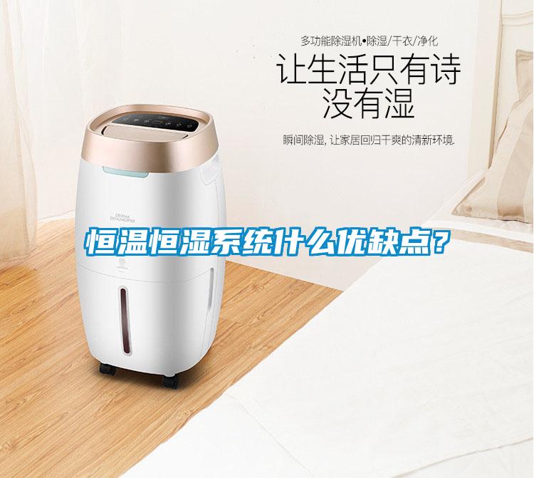 恒溫恒濕系統什么優缺點？