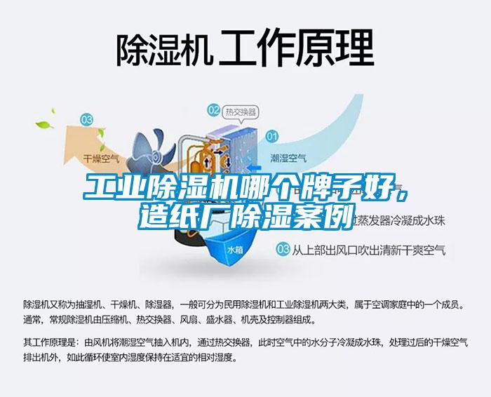 工業除濕機哪個牌子好，造紙廠除濕案例