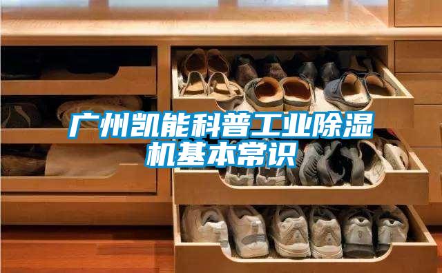廣州凱能科普工業(yè)除濕機基本常識