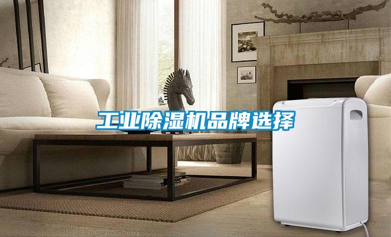 工業(yè)除濕機品牌選擇