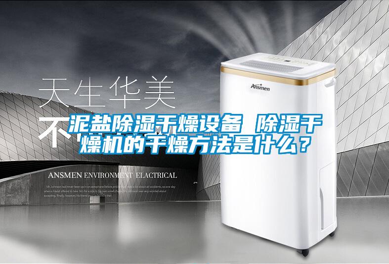 泥鹽除濕干燥設(shè)備 除濕干燥機(jī)的干燥方法是什么？
