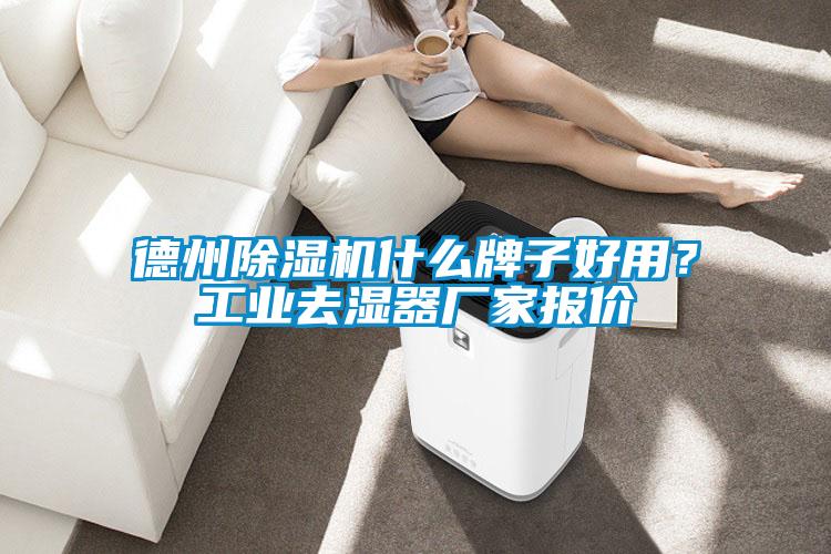 德州除濕機什么牌子好用？工業去濕器廠家報價