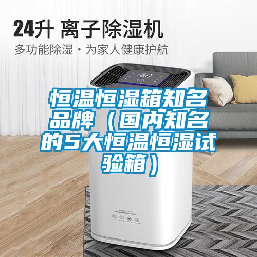 恒溫恒濕箱知名品牌（國(guó)內(nèi)知名的5大恒溫恒濕試驗(yàn)箱）