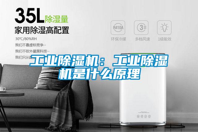 工業(yè)除濕機：工業(yè)除濕機是什么原理