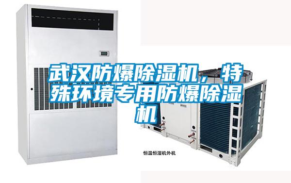 武漢防爆除濕機，特殊環境專用防爆除濕機