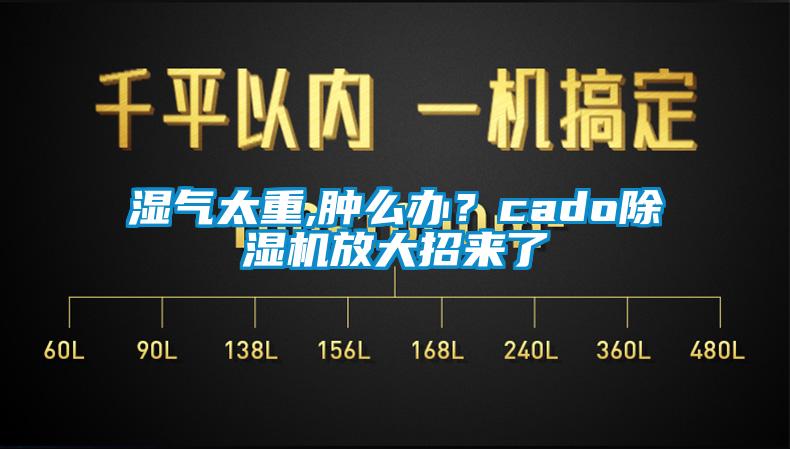 濕氣太重,腫么辦？cado除濕機(jī)放大招來了