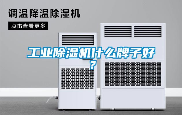 工業(yè)除濕機(jī)什么牌子好？
