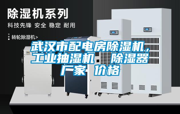武漢市配電房除濕機，工業抽濕機  除濕器廠家 價格