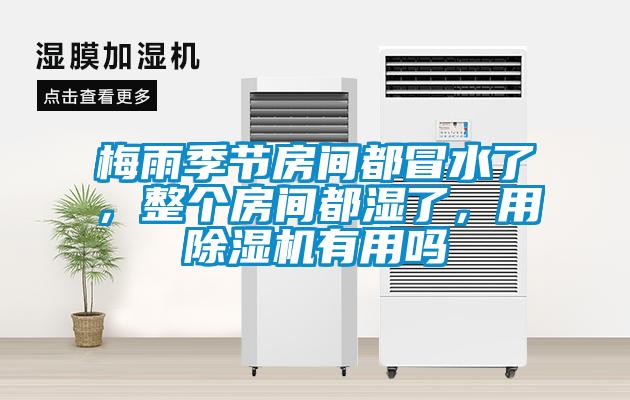 梅雨季節房間都冒水了，整個房間都濕了，用除濕機有用嗎