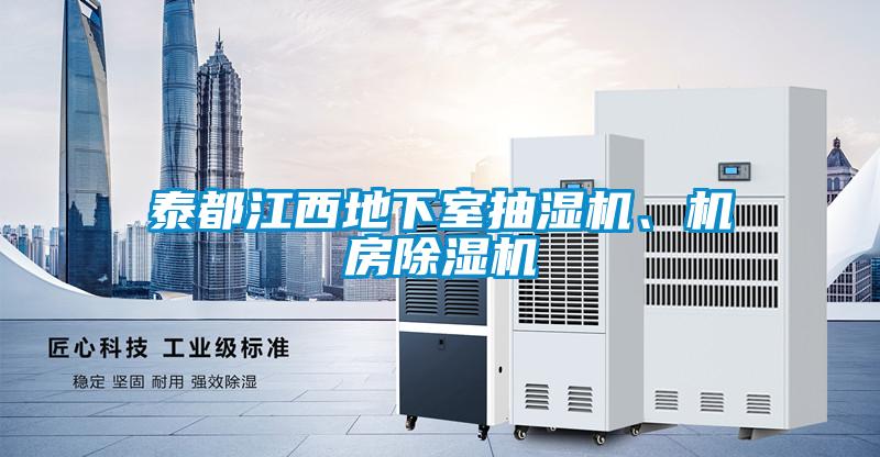 泰都江西地下室抽濕機、機房除濕機