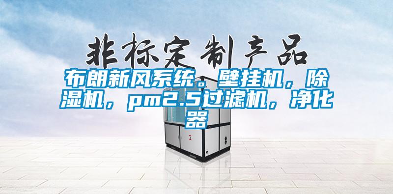 布朗新風(fēng)系統(tǒng)。壁掛機，除濕機，pm2.5過濾機，凈化器