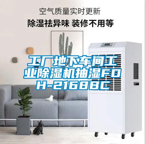 工廠地下車間工業(yè)除濕機抽濕FDH-2168BC