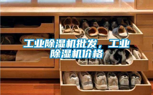 工業(yè)除濕機(jī)批發(fā)，工業(yè)除濕機(jī)價(jià)格