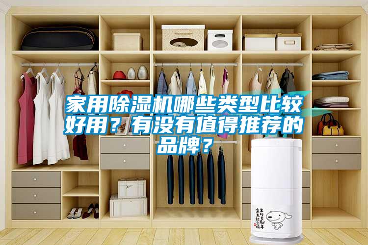 家用除濕機(jī)哪些類型比較好用？有沒有值得推薦的品牌？