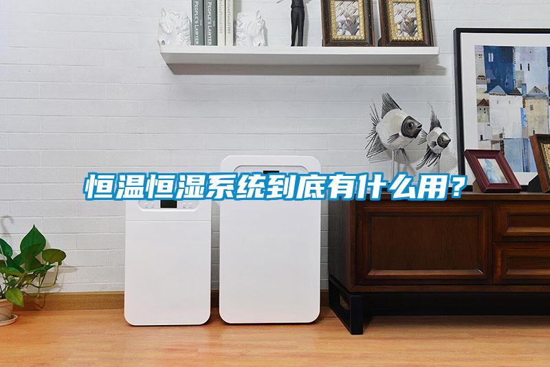 恒溫恒濕系統到底有什么用？