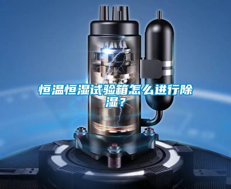 恒溫恒濕試驗箱怎么進行除濕？
