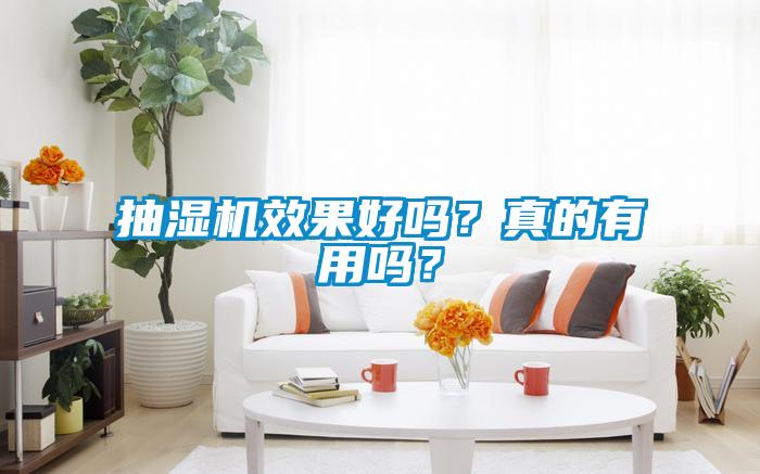 抽濕機(jī)效果好嗎？真的有用嗎？