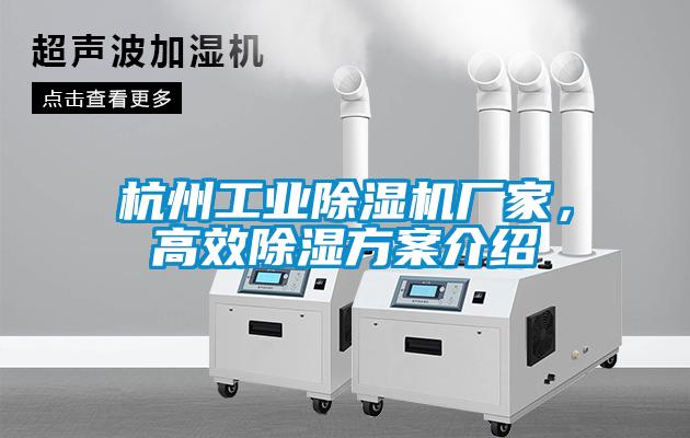 杭州工業(yè)除濕機廠家，高效除濕方案介紹