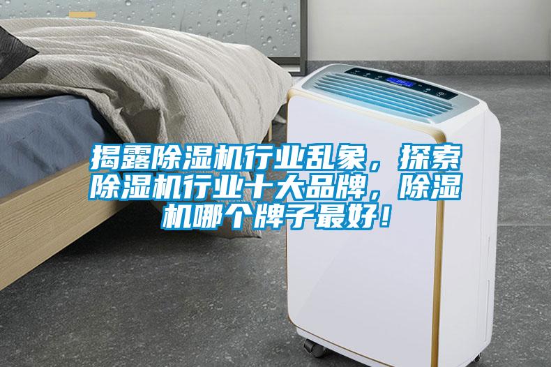 揭露除濕機行業亂象，探索除濕機行業十大品牌，除濕機哪個牌子最好！