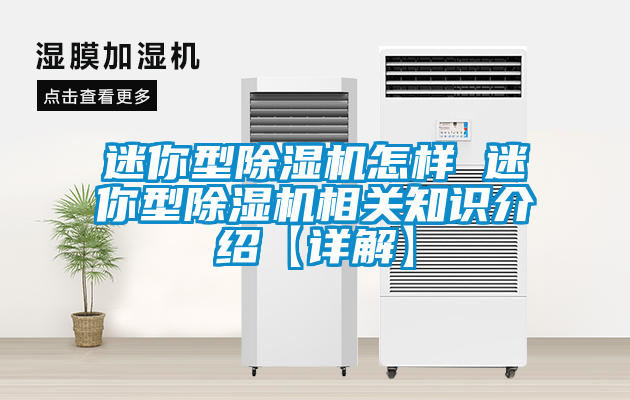 迷你型除濕機怎樣 迷你型除濕機相關(guān)知識介紹【詳解】