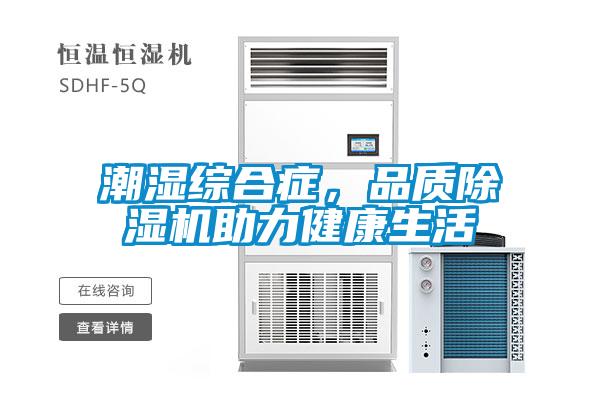 潮濕綜合癥，品質除濕機助力健康生活