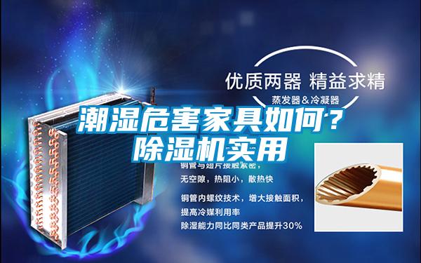 潮濕危害家具如何？除濕機(jī)實(shí)用