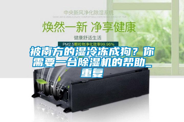 被南方的濕冷凍成狗？你需要一臺除濕機的幫助_重復(fù)