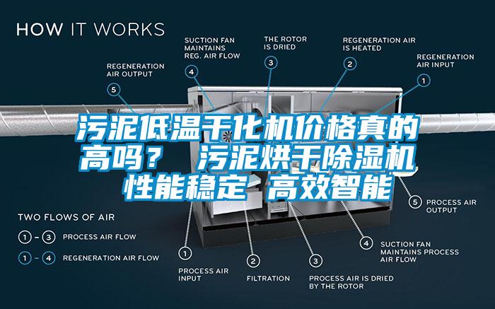 污泥低溫干化機價格真的高嗎？ 污泥烘干除濕機 性能穩定 高效智能