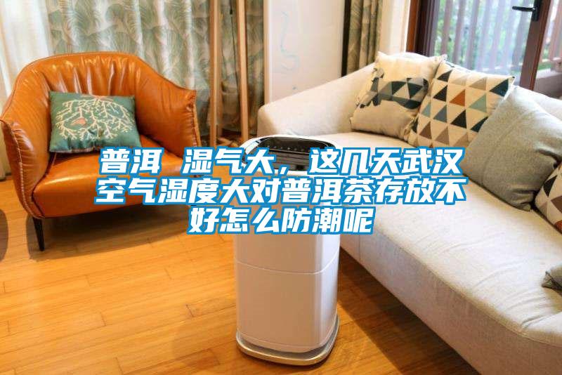 普洱 濕氣大，這幾天武漢空氣濕度大對普洱茶存放不好怎么防潮呢