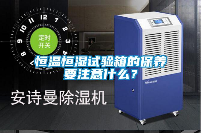 恒溫恒濕試驗箱的保養(yǎng)要注意什么？