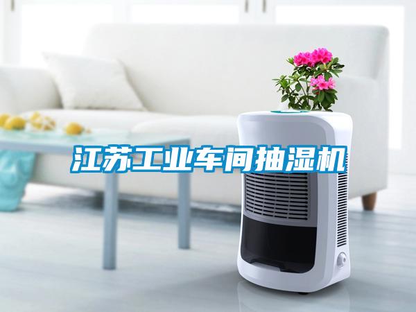 江蘇工業(yè)車間抽濕機