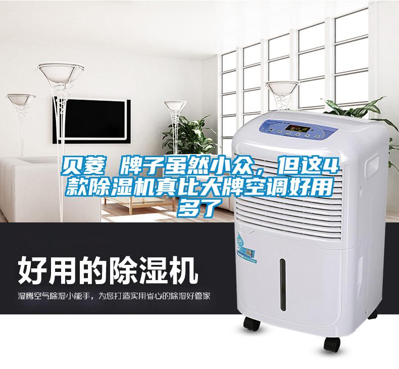 貝菱 牌子雖然小眾，但這4款除濕機真比大牌空調好用多了