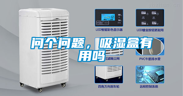 問個(gè)問題，吸濕盒有用嗎