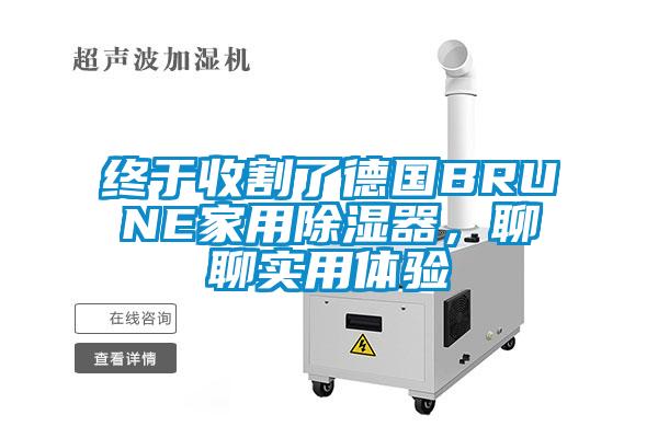 終于收割了德國BRUNE家用除濕器，聊聊實用體驗