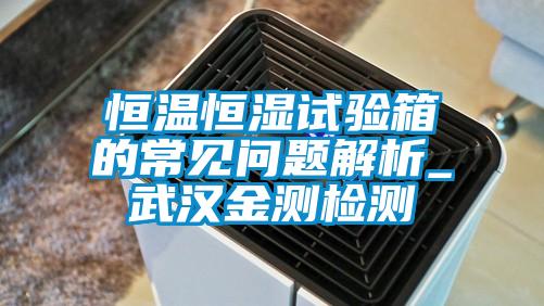 恒溫恒濕試驗(yàn)箱的常見(jiàn)問(wèn)題解析_武漢金測(cè)檢測(cè)