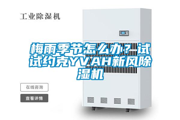 梅雨季節(jié)怎么辦？試試約克YVAH新風(fēng)除濕機