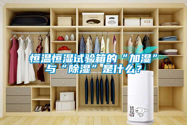 恒溫恒濕試驗箱的“加濕”與“除濕”是什么？