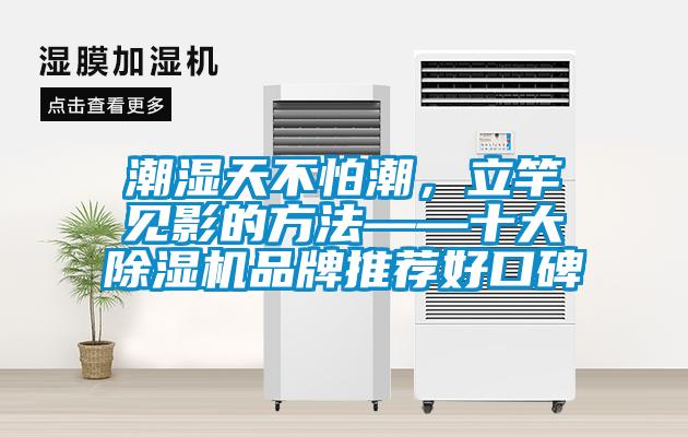 潮濕天不怕潮，立竿見影的方法——十大除濕機品牌推薦好口碑