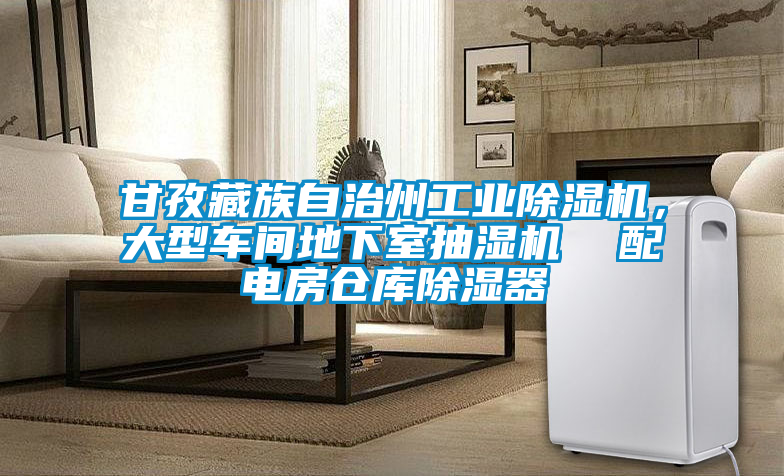 甘孜藏族自治州工業除濕機，大型車間地下室抽濕機  配電房倉庫除濕器