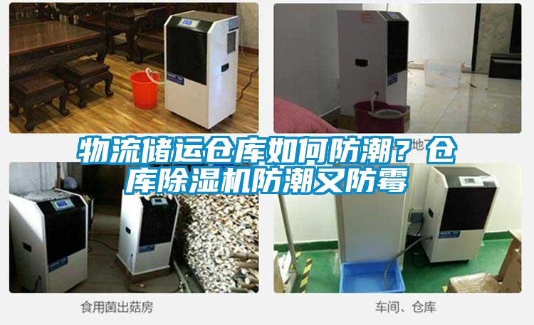 物流儲運倉庫如何防潮？倉庫除濕機防潮又防霉