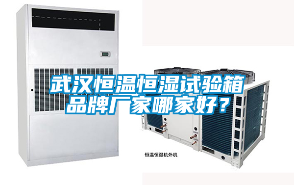 武漢恒溫恒濕試驗箱品牌廠家哪家好？