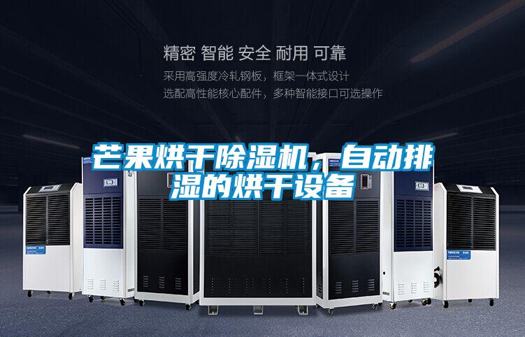 芒果烘干除濕機，自動排濕的烘干設備