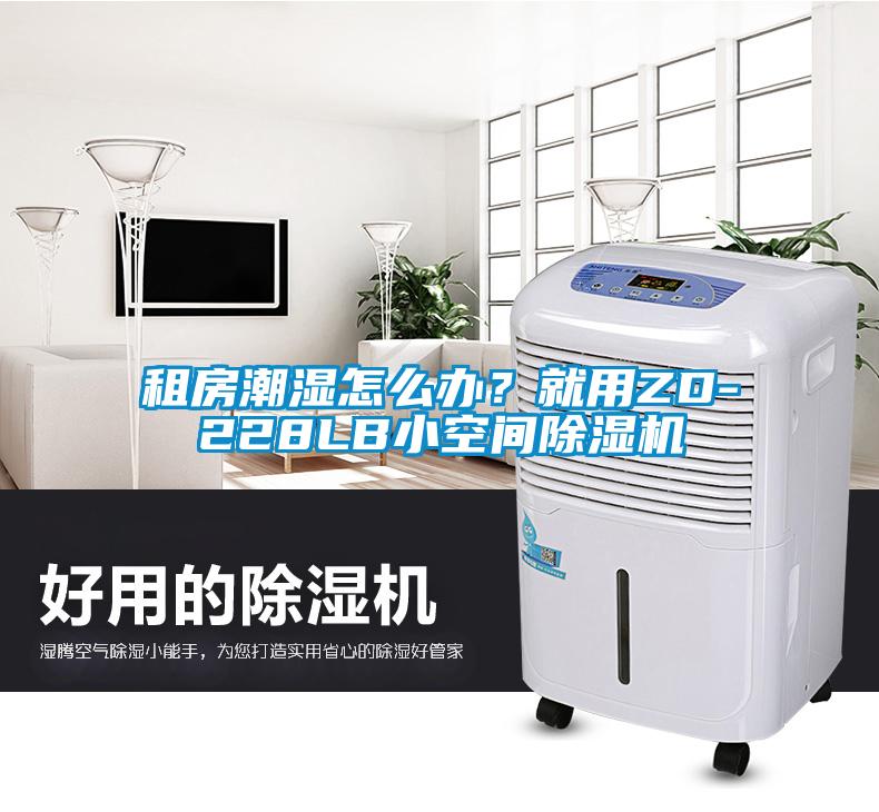 租房潮濕怎么辦？就用ZD-228LB小空間除濕機