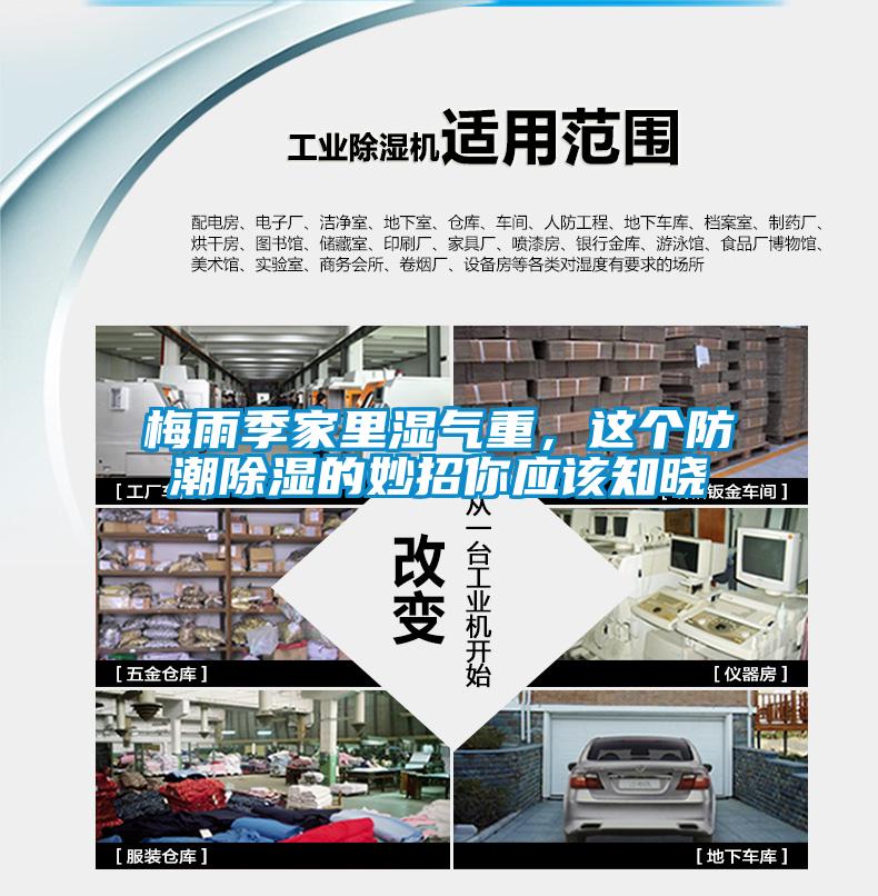 梅雨季家里濕氣重，這個(gè)防潮除濕的妙招你應(yīng)該知曉